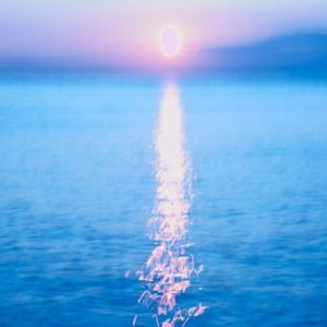 Meet your Posher, Lee